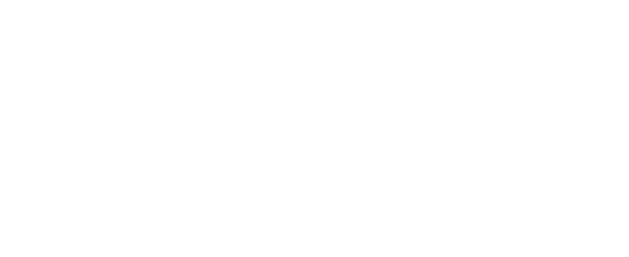 Diocese Appeal